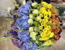 img-web-floristeria-orquídia-pag-contactar-002